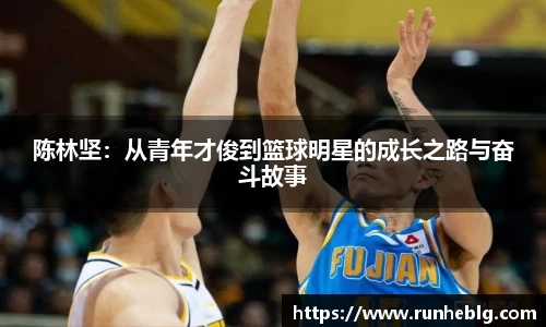 风云体育新版本